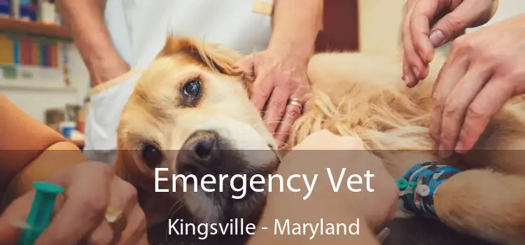 Emergency Vet Kingsville - Maryland