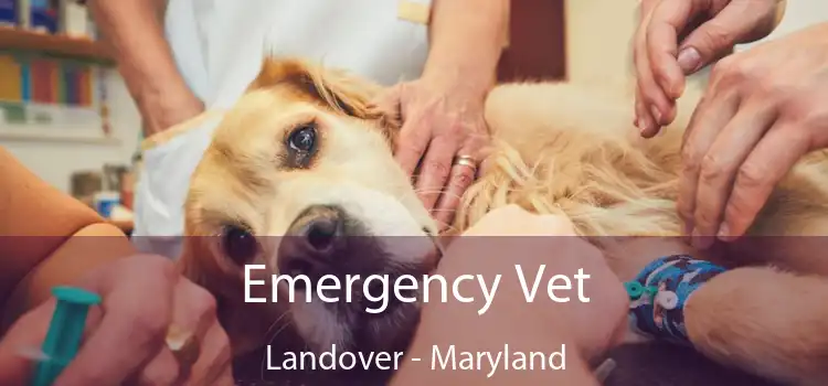 Emergency Vet Landover - Maryland