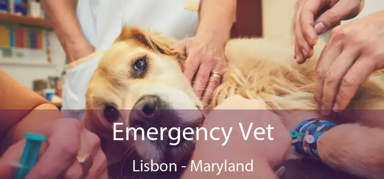 Emergency Vet Lisbon - Maryland