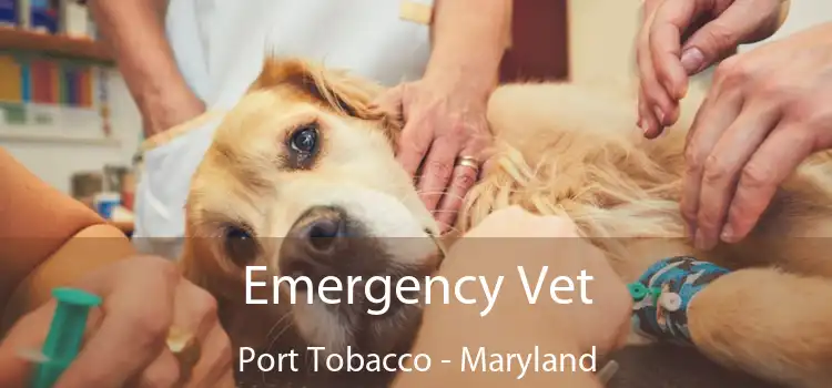 Emergency Vet Port Tobacco - Maryland