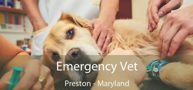 Emergency Vet Preston - Maryland