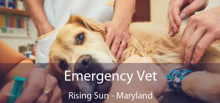 Emergency Vet Rising Sun - Maryland