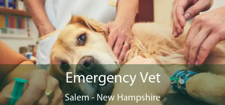 Emergency Vet Salem - New Hampshire