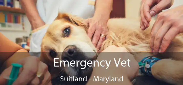 Emergency Vet Suitland - Maryland