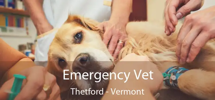 Emergency Vet Thetford - Vermont