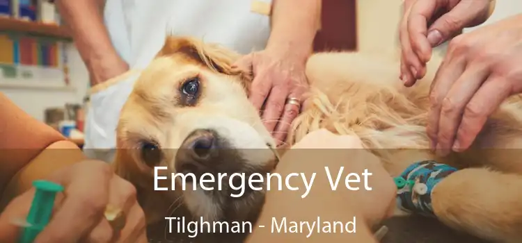 Emergency Vet Tilghman - Maryland