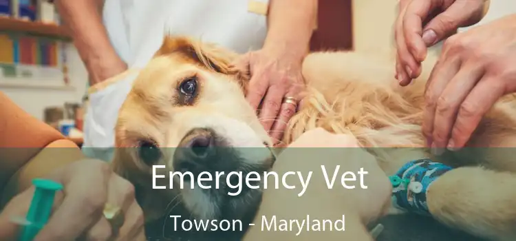 Emergency Vet Towson - Maryland