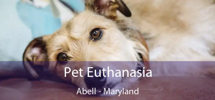 Pet Euthanasia Abell - Maryland