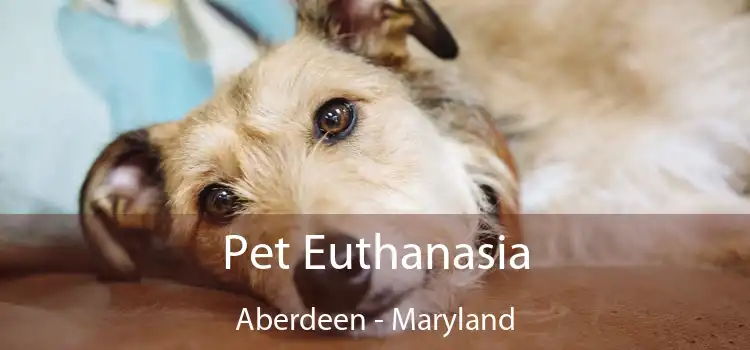 Pet Euthanasia Aberdeen - Maryland