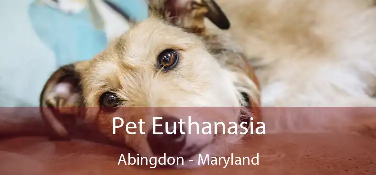 Pet Euthanasia Abingdon - Maryland