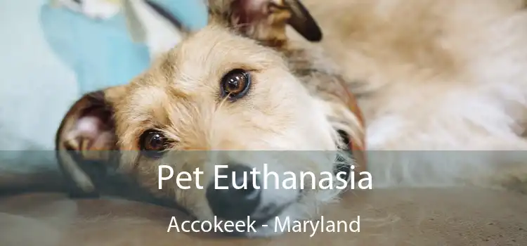 Pet Euthanasia Accokeek - Maryland