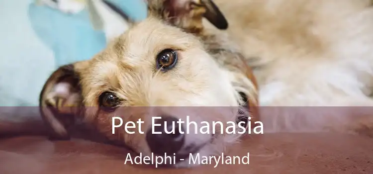 Pet Euthanasia Adelphi - Maryland