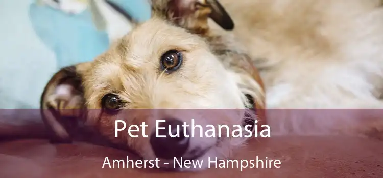 Pet Euthanasia Amherst - New Hampshire