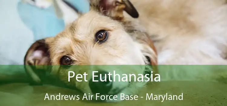 Pet Euthanasia Andrews Air Force Base - Maryland