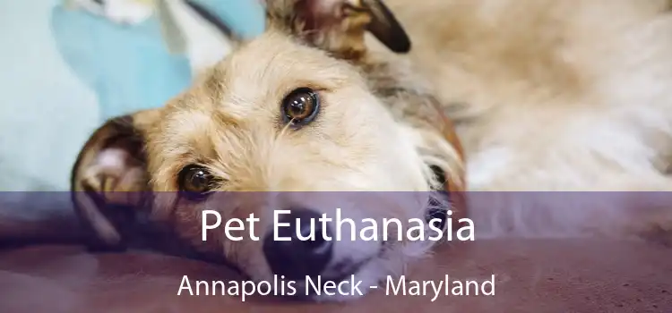 Pet Euthanasia Annapolis Neck - Maryland