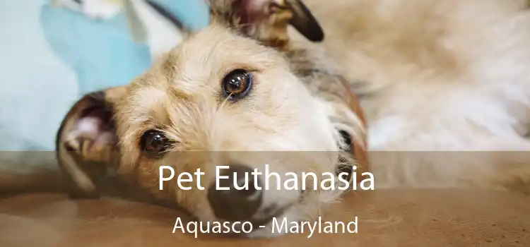 Pet Euthanasia Aquasco - Maryland