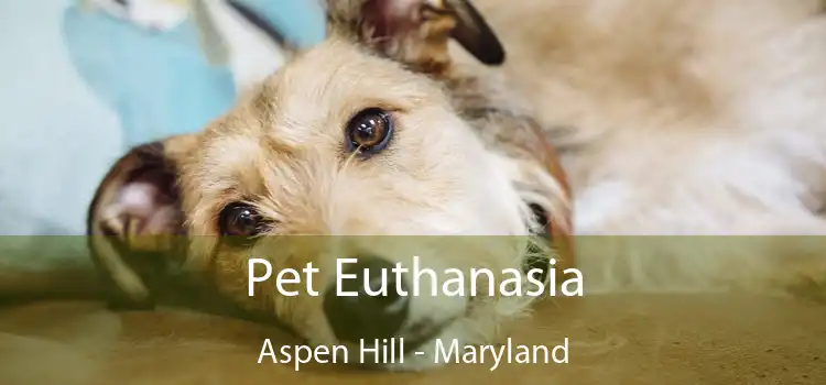 Pet Euthanasia Aspen Hill - Maryland