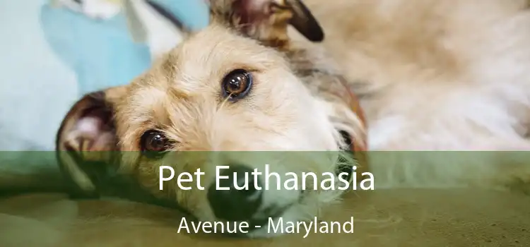 Pet Euthanasia Avenue - Maryland