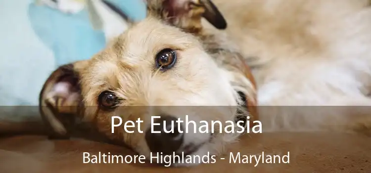 Pet Euthanasia Baltimore Highlands - Maryland