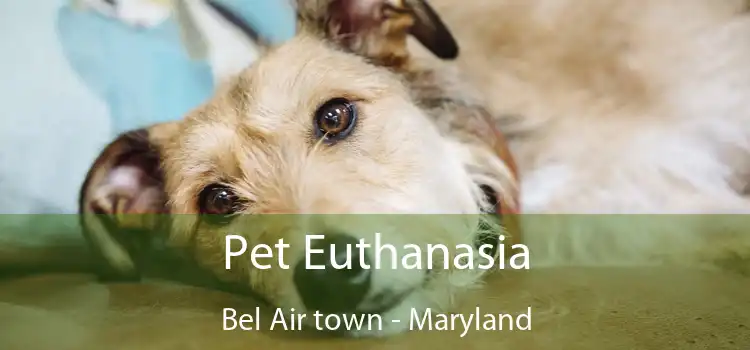 Pet Euthanasia Bel Air town - Maryland