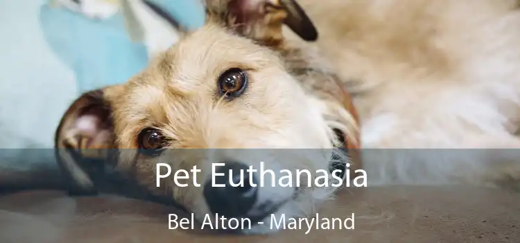 Pet Euthanasia Bel Alton - Maryland