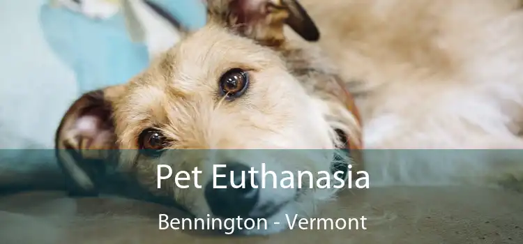 Pet Euthanasia Bennington - Vermont