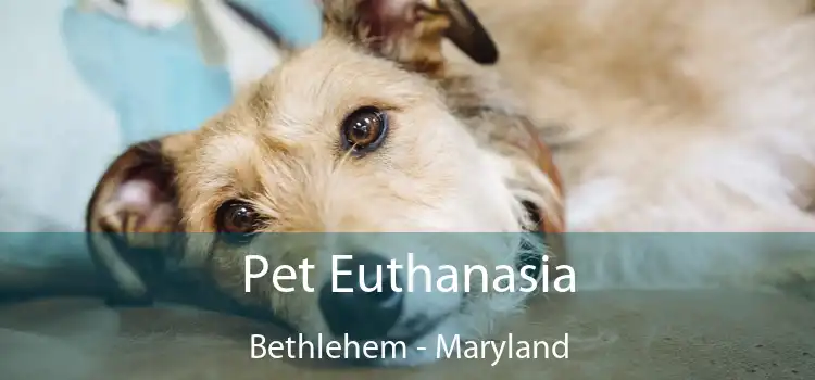 Pet Euthanasia Bethlehem - Maryland