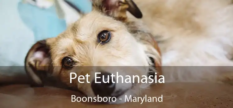 Pet Euthanasia Boonsboro - Maryland