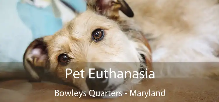 Pet Euthanasia Bowleys Quarters - Maryland