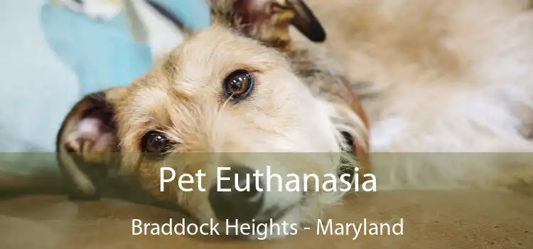 Pet Euthanasia Braddock Heights - Maryland