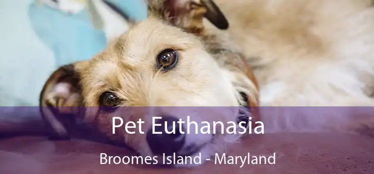 Pet Euthanasia Broomes Island - Maryland