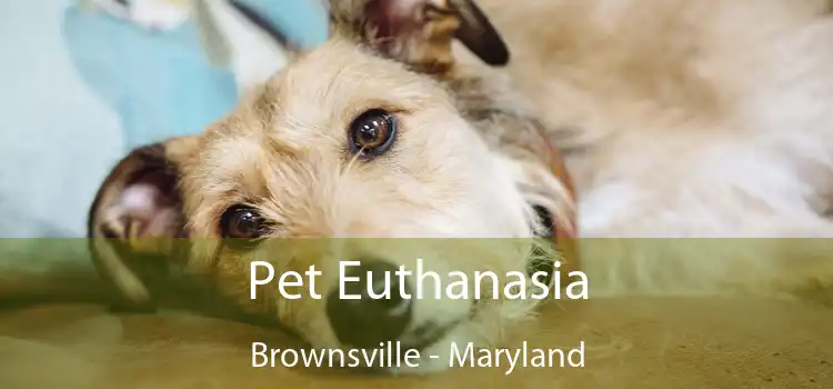 Pet Euthanasia Brownsville - Maryland