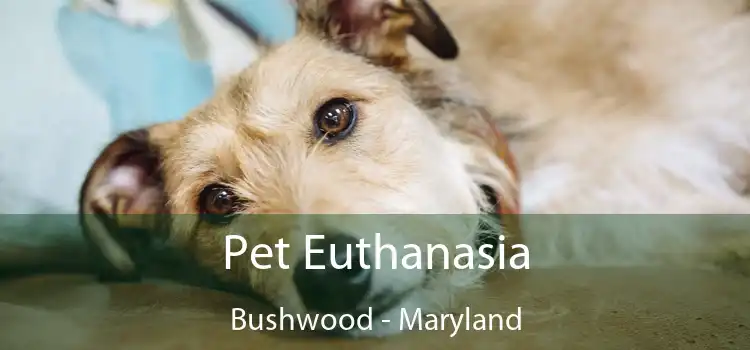 Pet Euthanasia Bushwood - Maryland