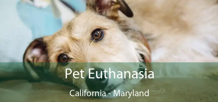 Pet Euthanasia California - Maryland