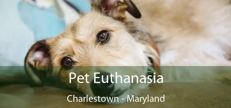 Pet Euthanasia Charlestown - Maryland