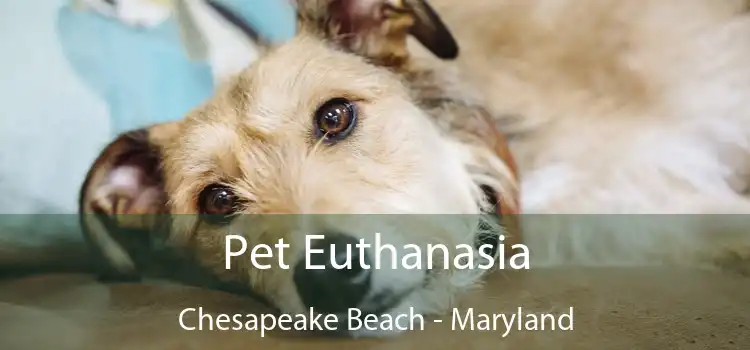 Pet Euthanasia Chesapeake Beach - Maryland