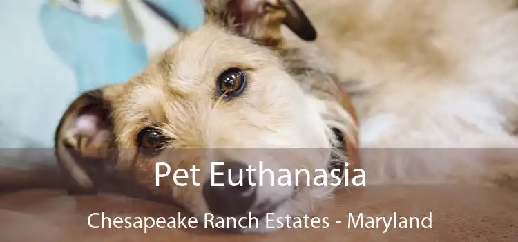 Pet Euthanasia Chesapeake Ranch Estates - Maryland