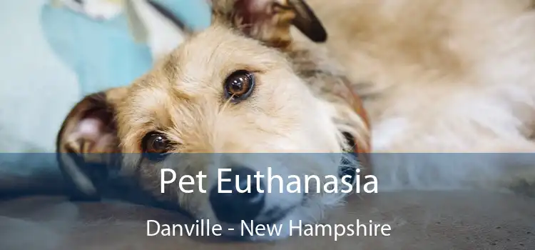 Pet Euthanasia Danville - New Hampshire