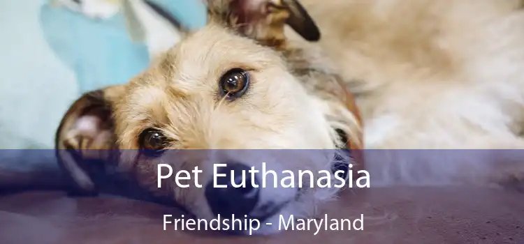 Pet Euthanasia Friendship - Maryland