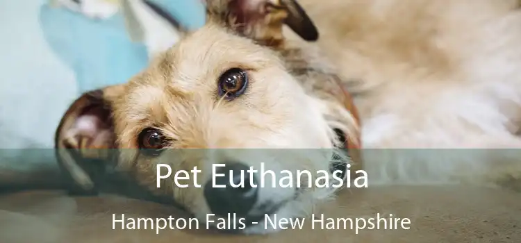 Pet Euthanasia Hampton Falls - New Hampshire