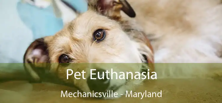 Pet Euthanasia Mechanicsville - Maryland