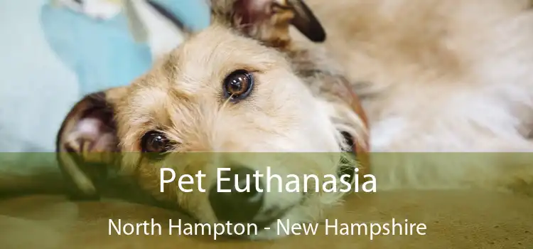 Pet Euthanasia North Hampton - New Hampshire