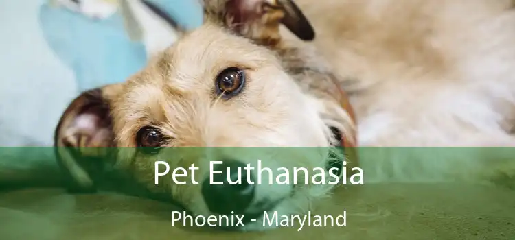 Pet Euthanasia Phoenix - Maryland