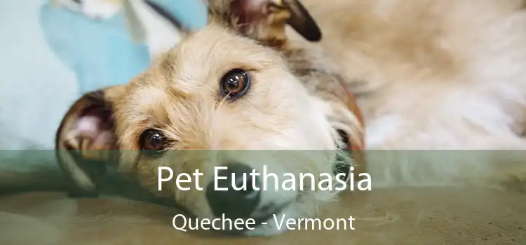 Pet Euthanasia Quechee - Vermont