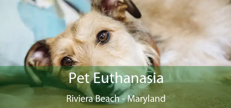 Pet Euthanasia Riviera Beach - Maryland