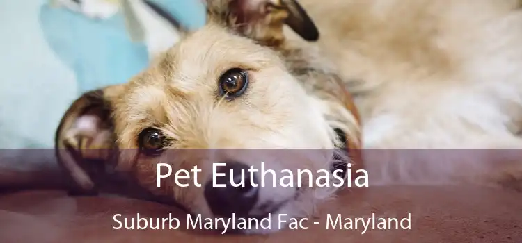 Pet Euthanasia Suburb Maryland Fac - Maryland