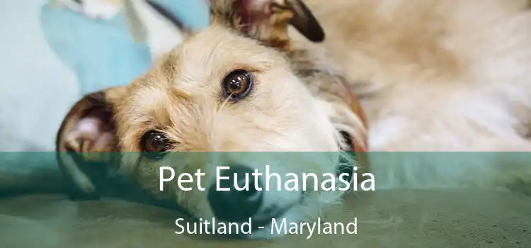 Pet Euthanasia Suitland - Maryland