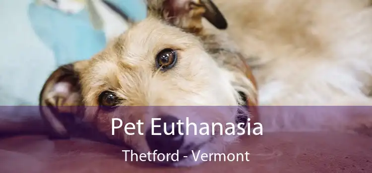 Pet Euthanasia Thetford - Vermont