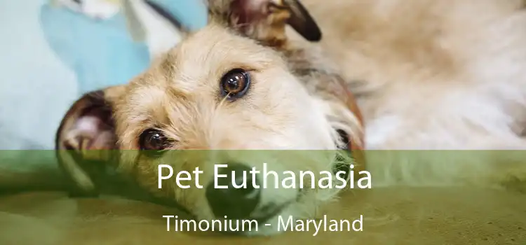 Pet Euthanasia Timonium - Maryland