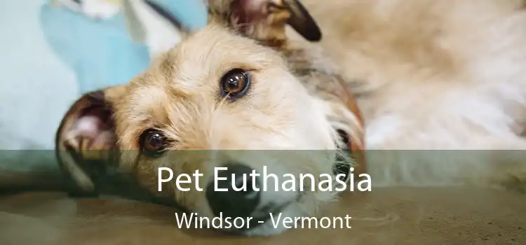 Pet Euthanasia Windsor - Vermont